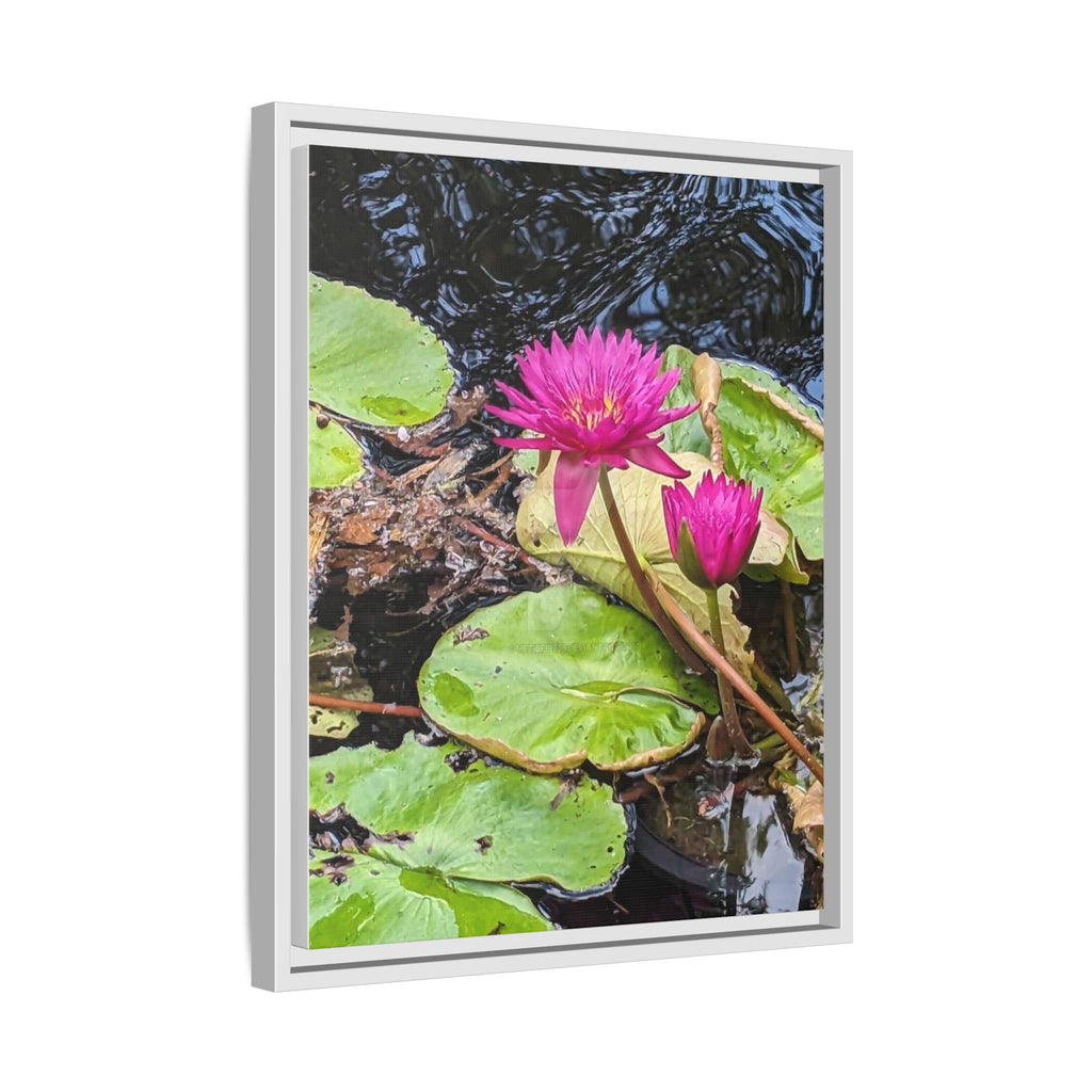 Pink Water Lily Matte Canvas Print (Framed)