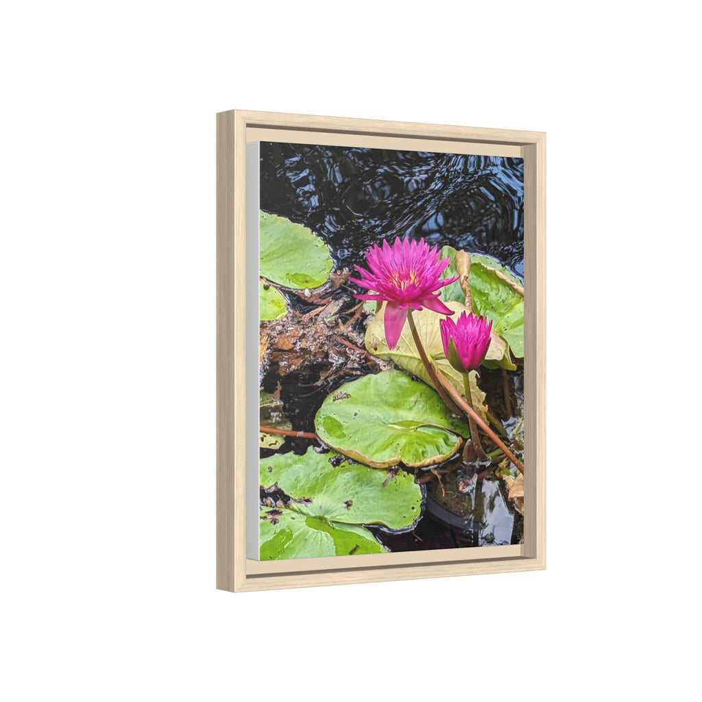Pink Water Lily Matte Canvas Print (Framed)