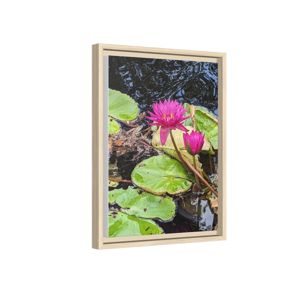 Pink Water Lily Matte Canvas Print (Framed)