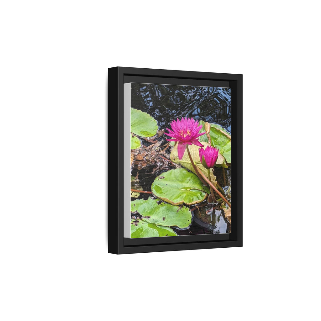Pink Water Lily Matte Canvas Print (Framed)