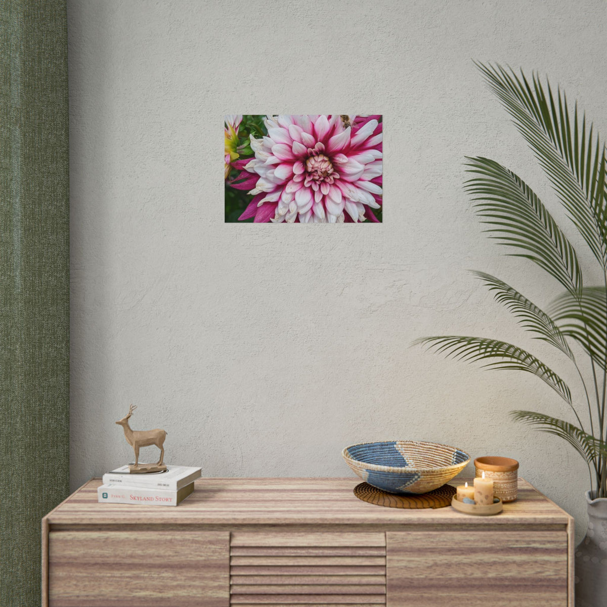 Dahlia Botanical Rolled Poster — Pink & White Floral Wall Art