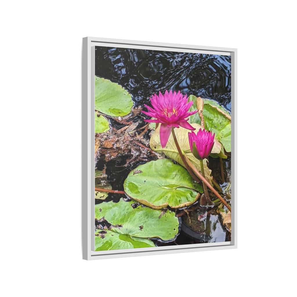 Pink Water Lily Matte Canvas Print (Framed)