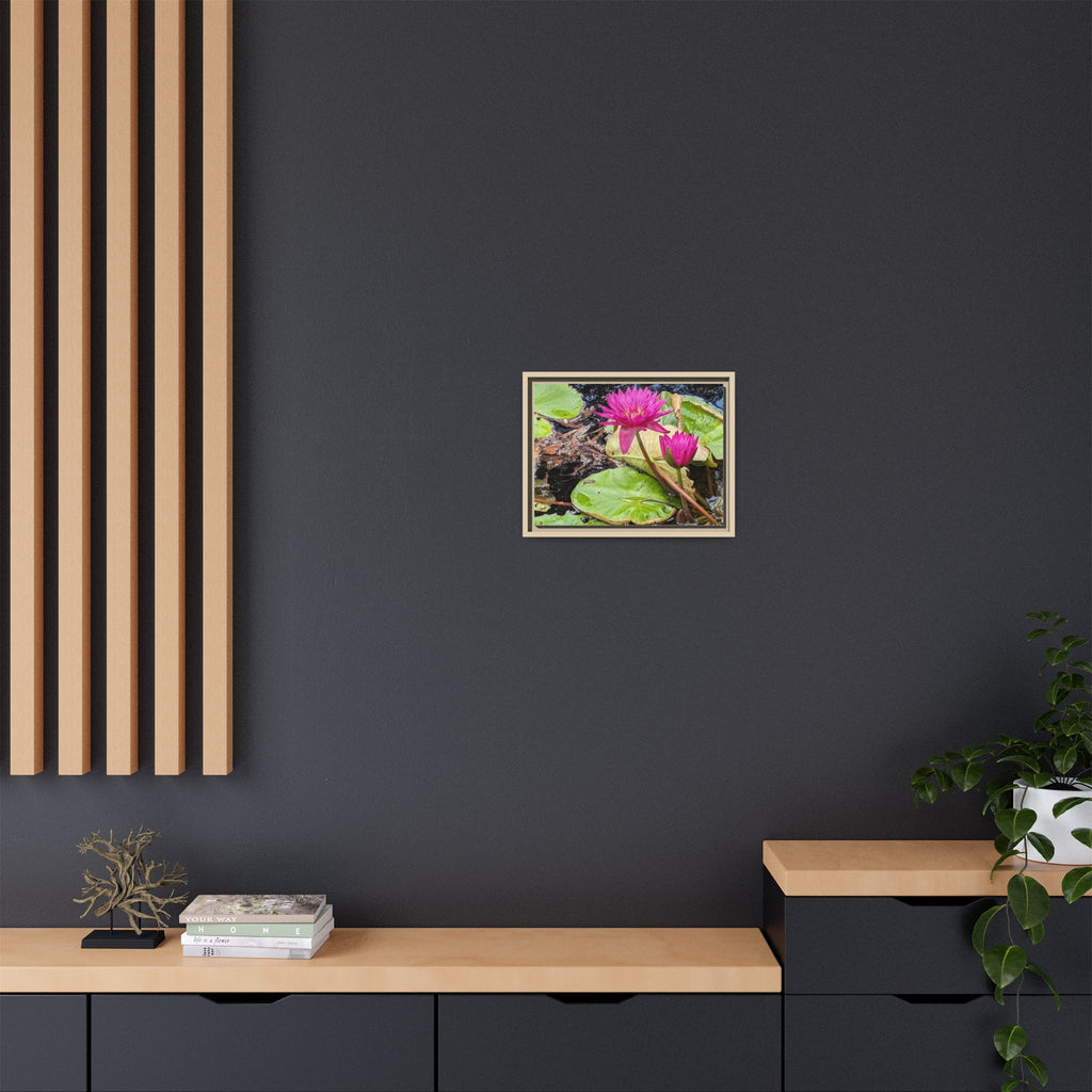 Pink Water Lily Matte Canvas Print (Framed)
