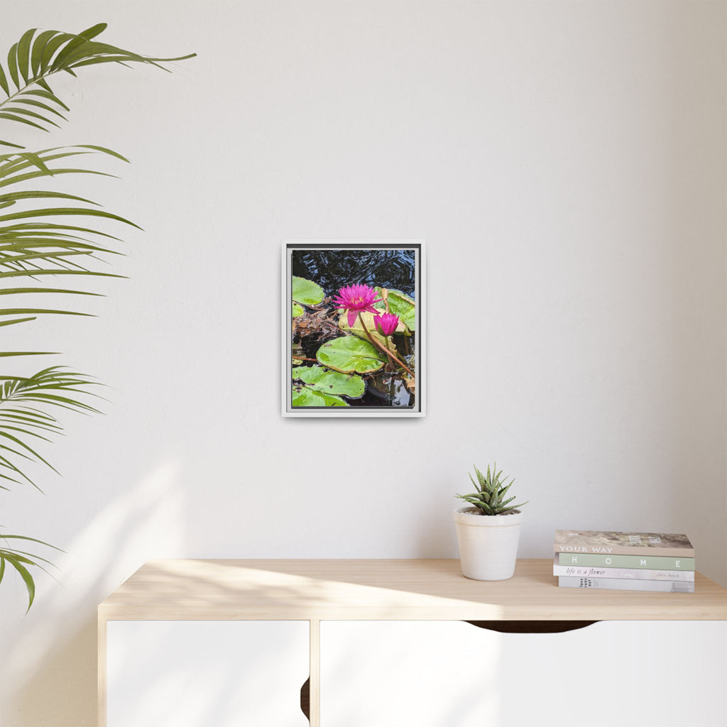 Pink Water Lily Matte Canvas Print (Framed)