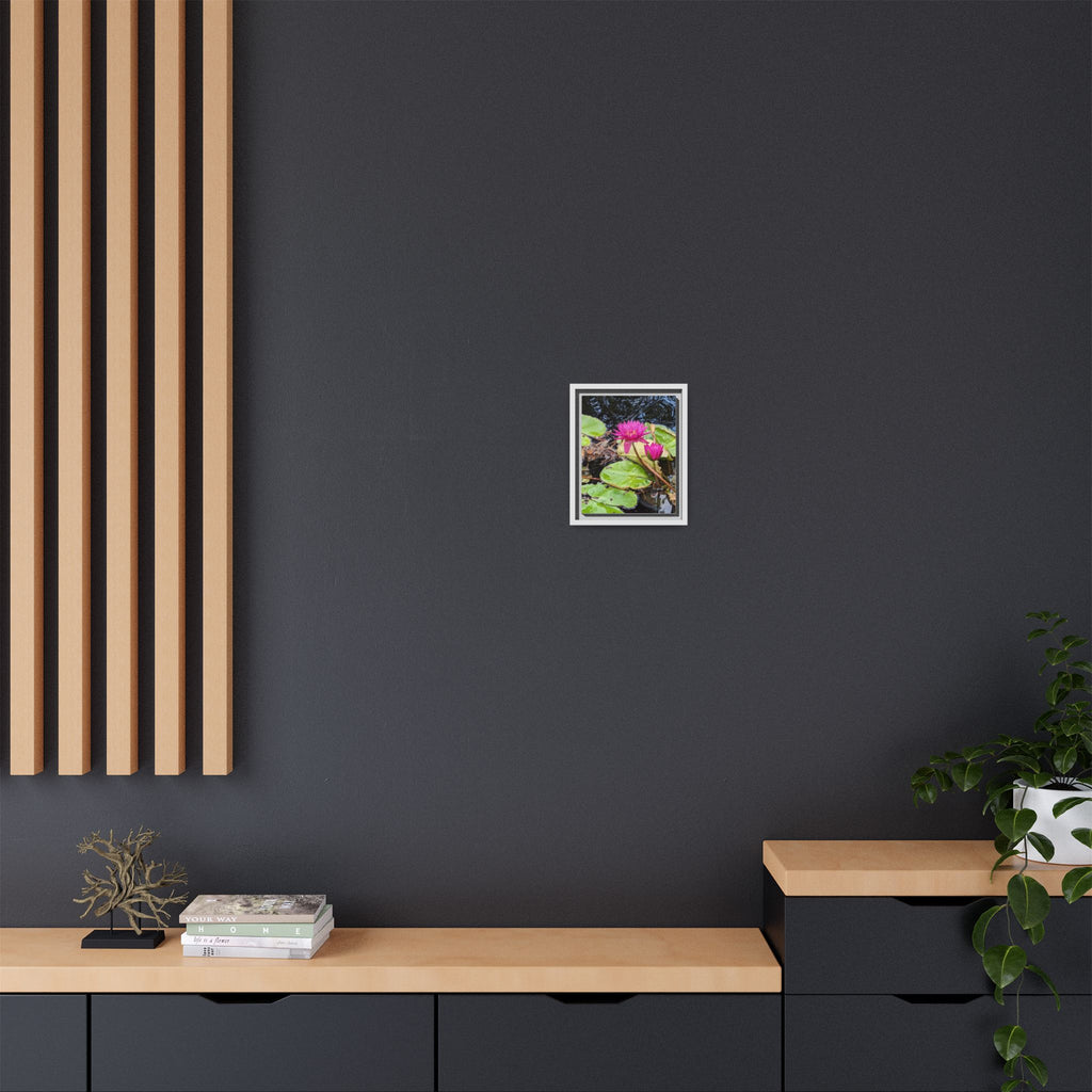 Pink Water Lily Matte Canvas Print (Framed)