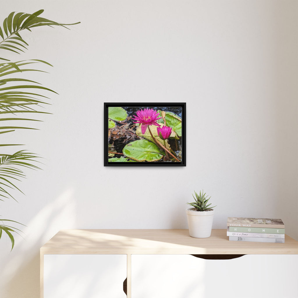 Pink Water Lily Matte Canvas Print (Framed)
