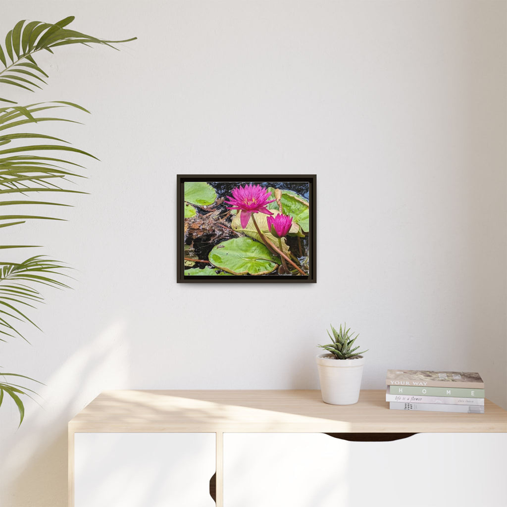 Pink Water Lily Matte Canvas Print (Framed)
