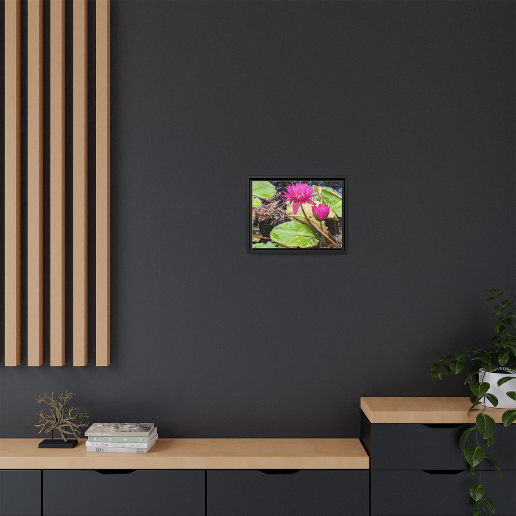 Pink Water Lily Matte Canvas Print (Framed)