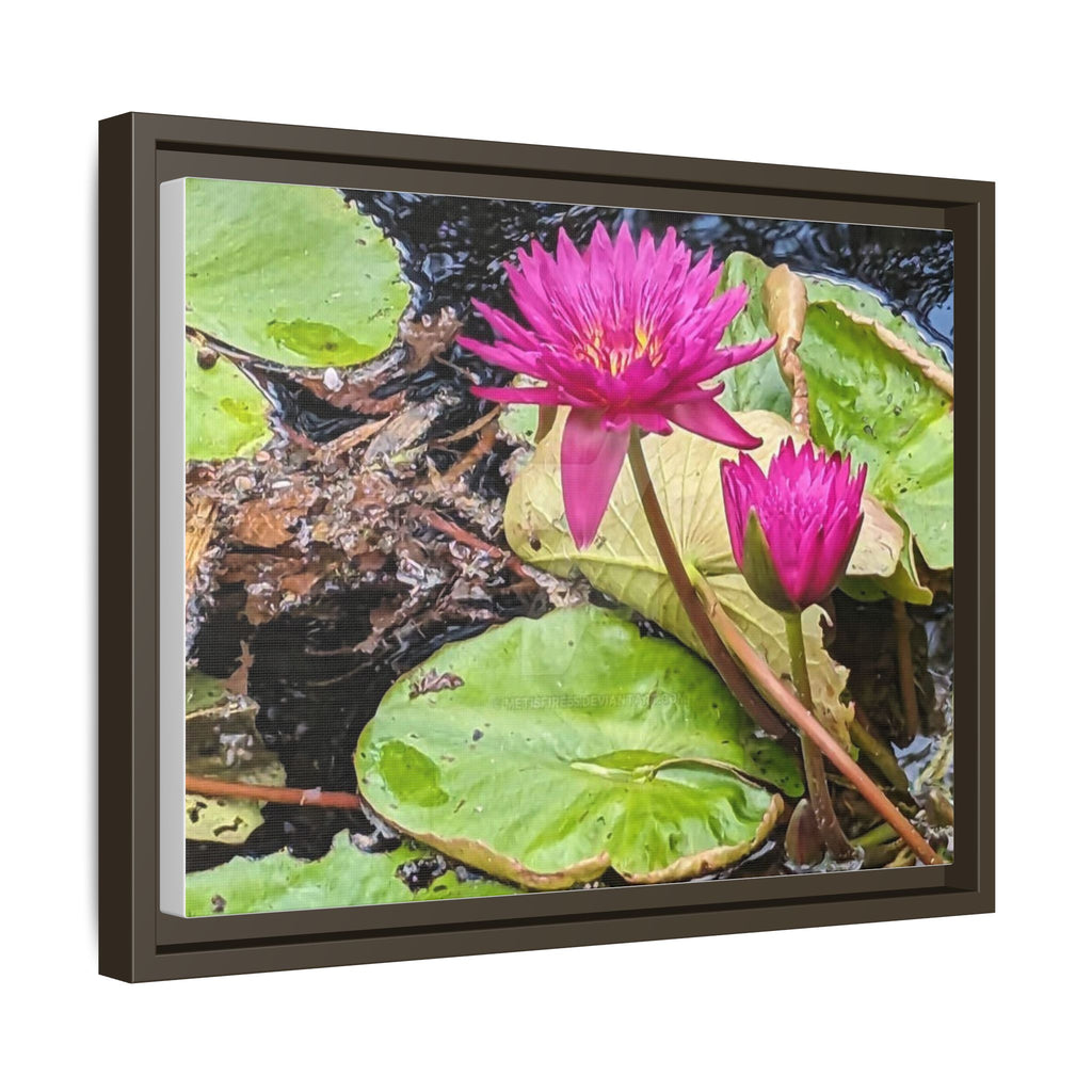 Pink Water Lily Matte Canvas Print (Framed)
