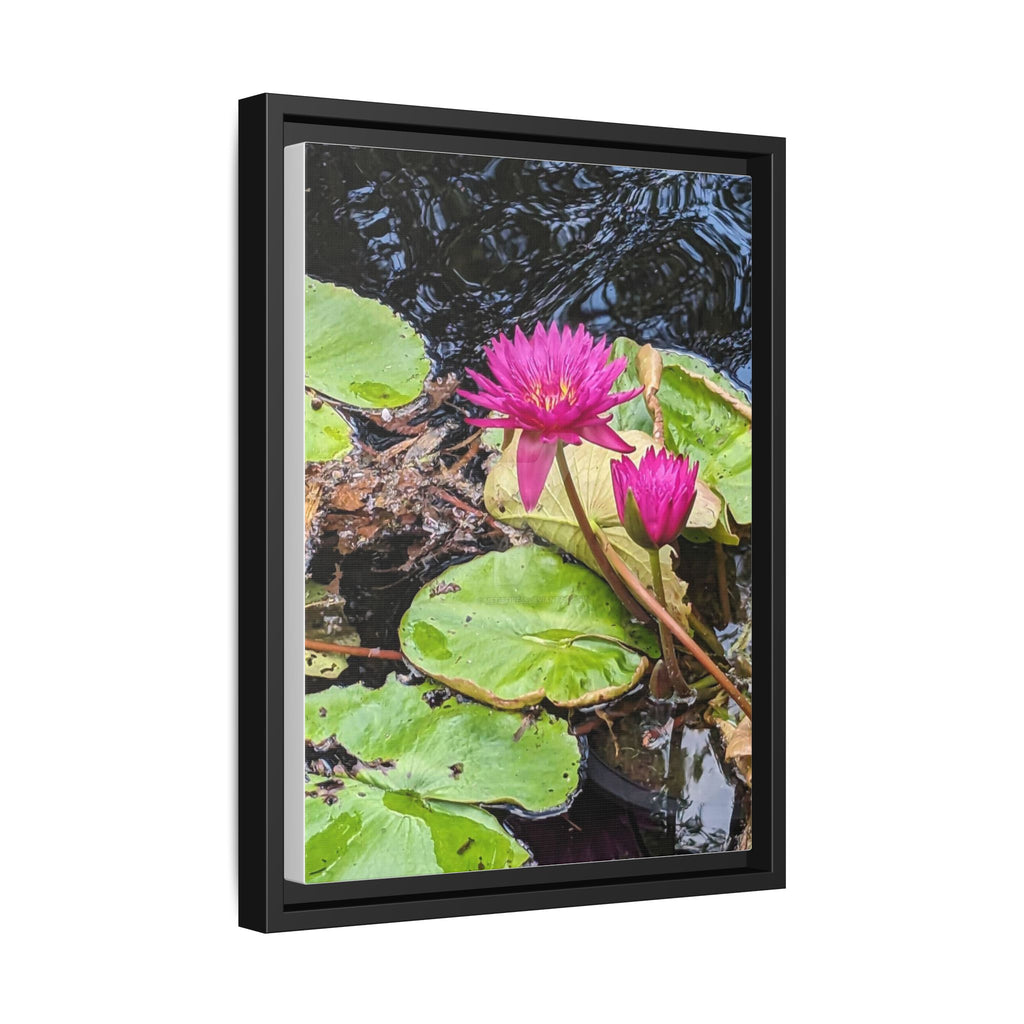 Pink Water Lily Matte Canvas Print (Framed)