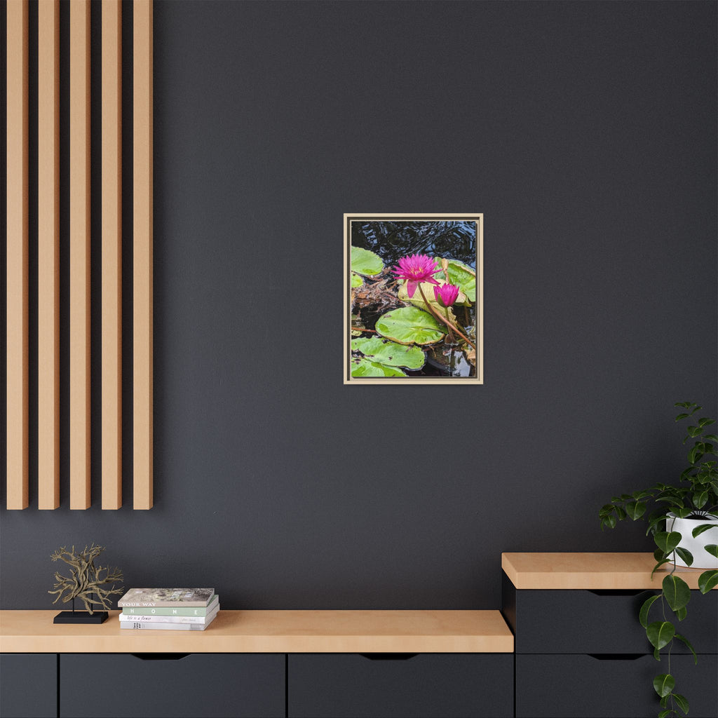 Pink Water Lily Matte Canvas Print (Framed)