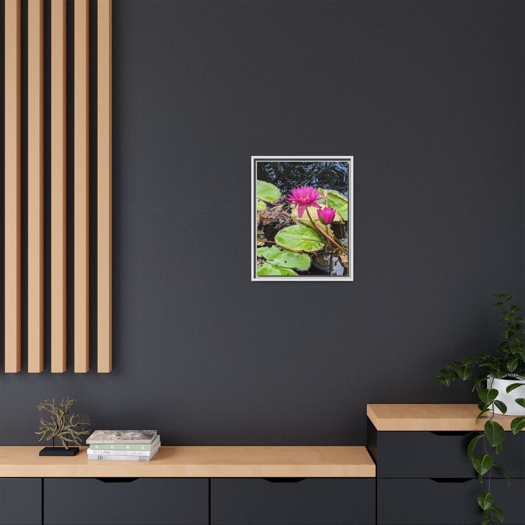 Pink Water Lily Matte Canvas Print (Framed)