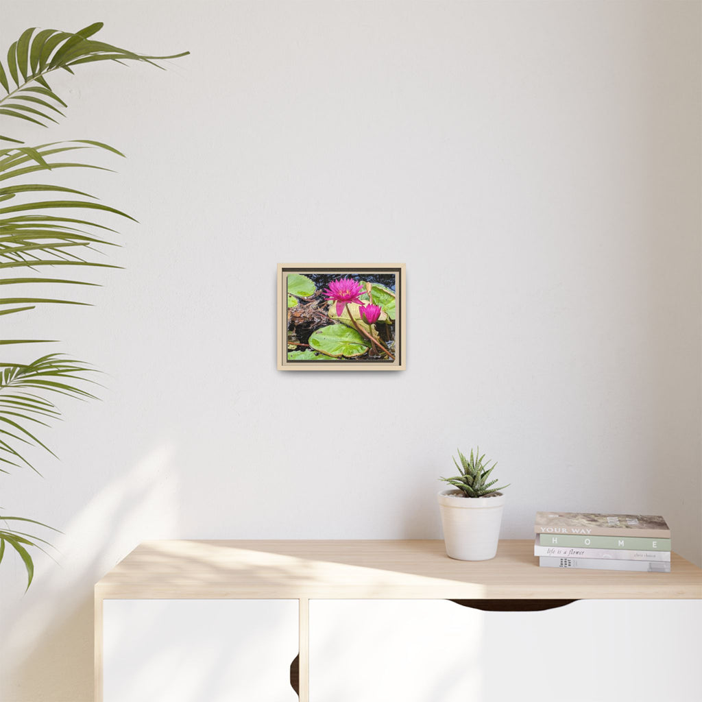 Pink Water Lily Matte Canvas Print (Framed)