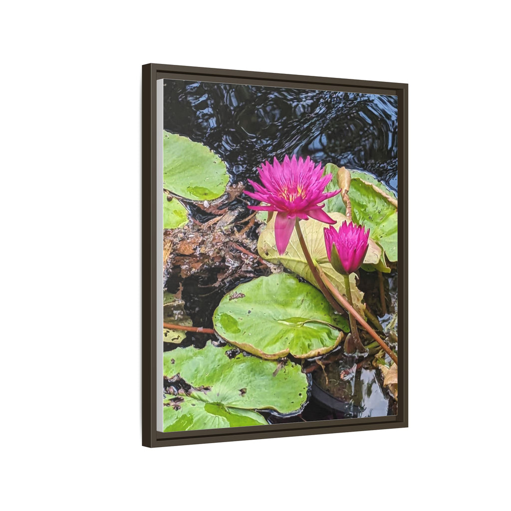 Pink Water Lily Matte Canvas Print (Framed)