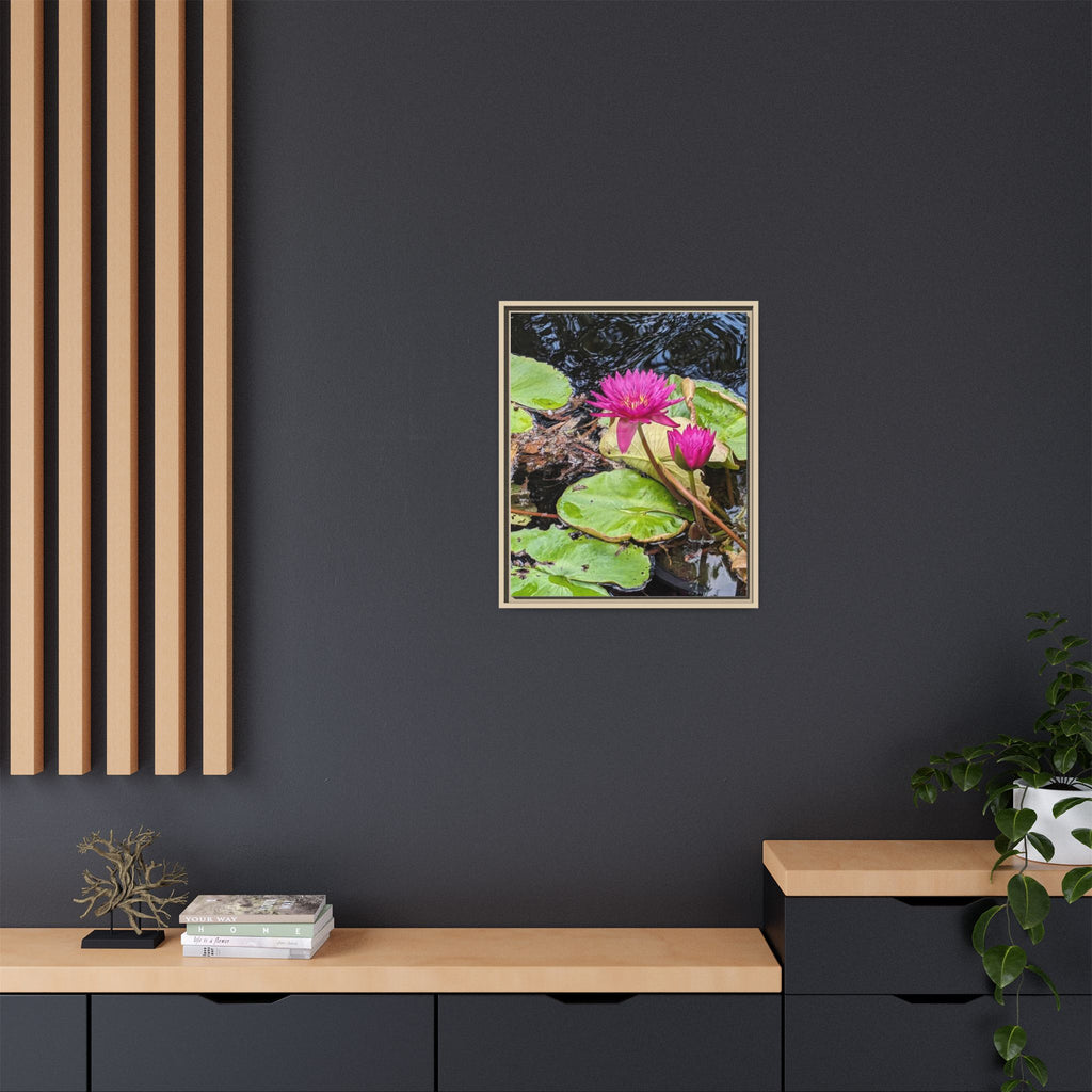Pink Water Lily Matte Canvas Print (Framed)
