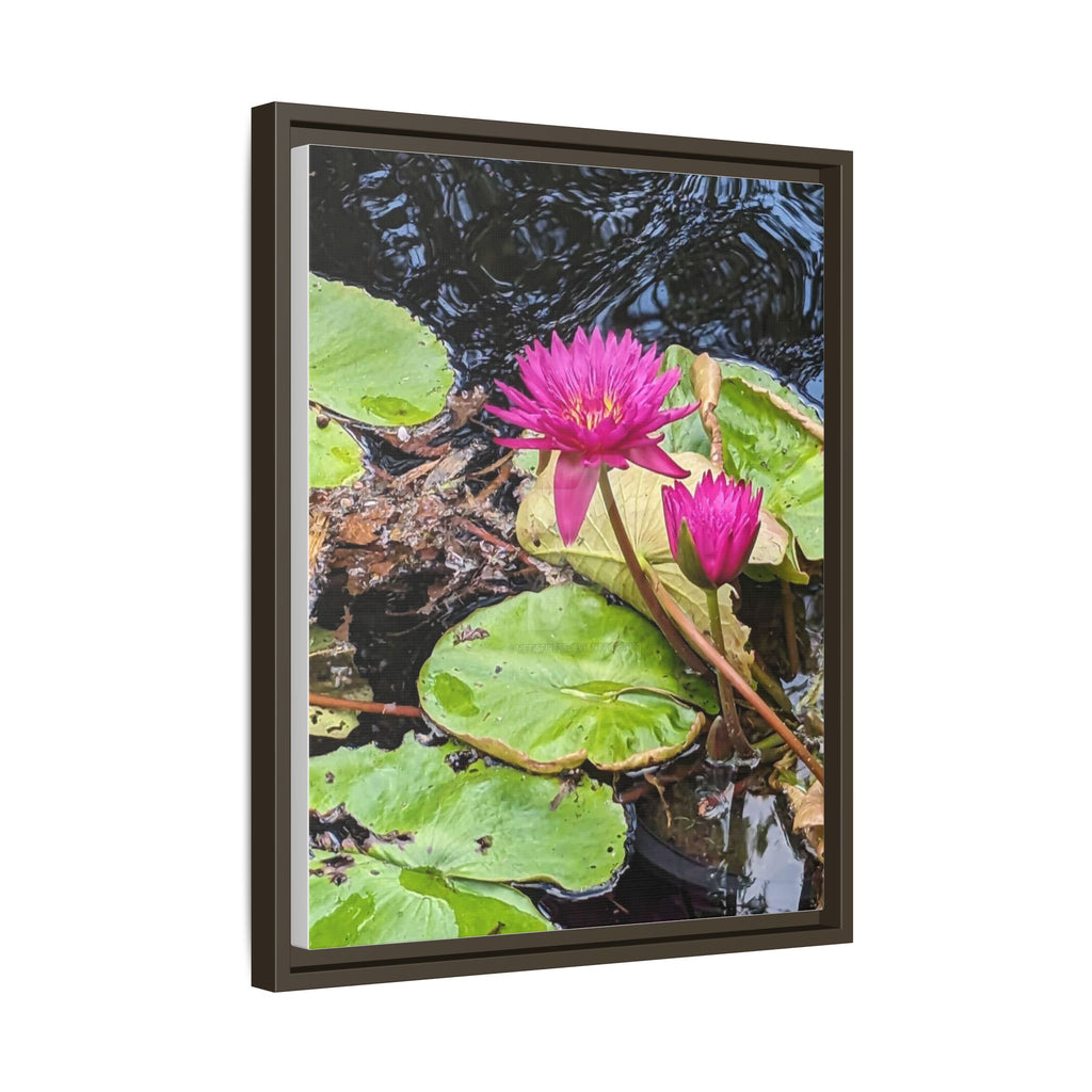 Pink Water Lily Matte Canvas Print (Framed)