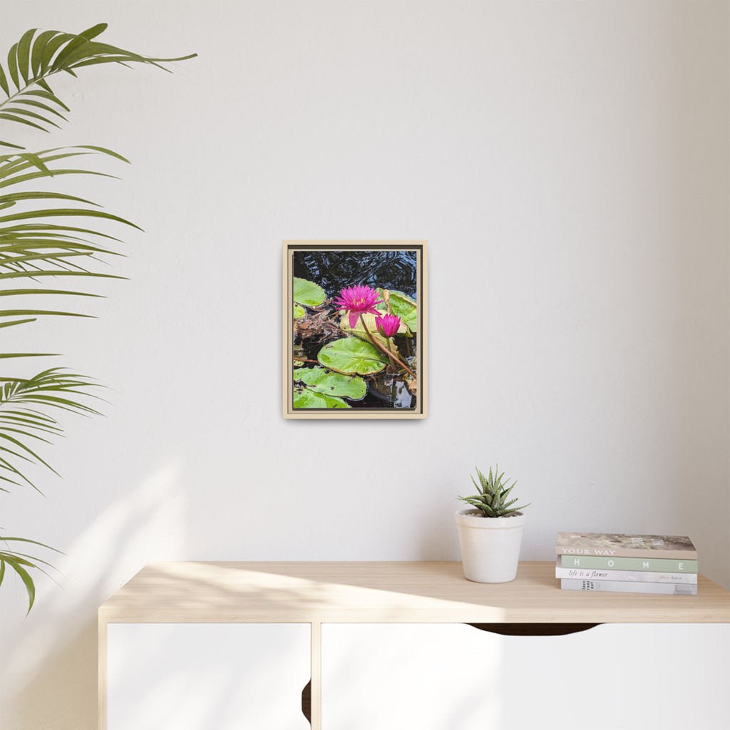 Pink Water Lily Matte Canvas Print (Framed)