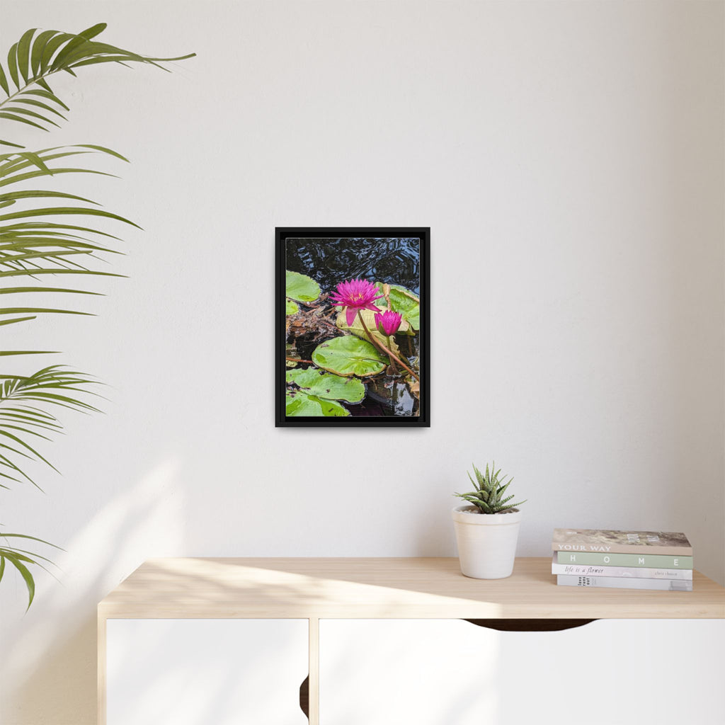 Pink Water Lily Matte Canvas Print (Framed)