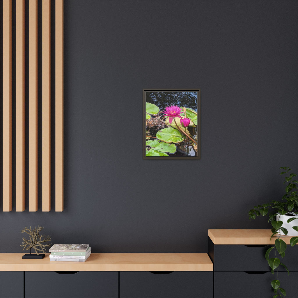 Pink Water Lily Matte Canvas Print (Framed)