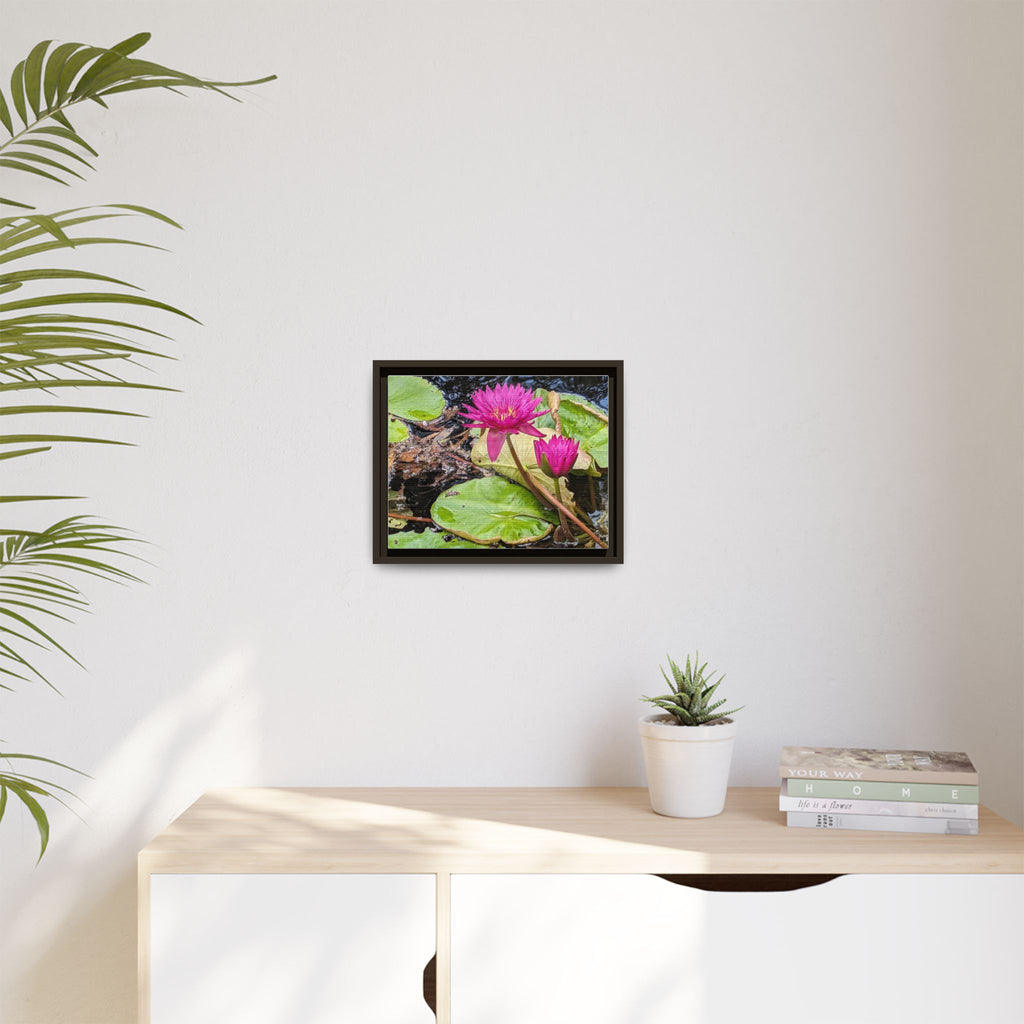 Pink Water Lily Matte Canvas Print (Framed)