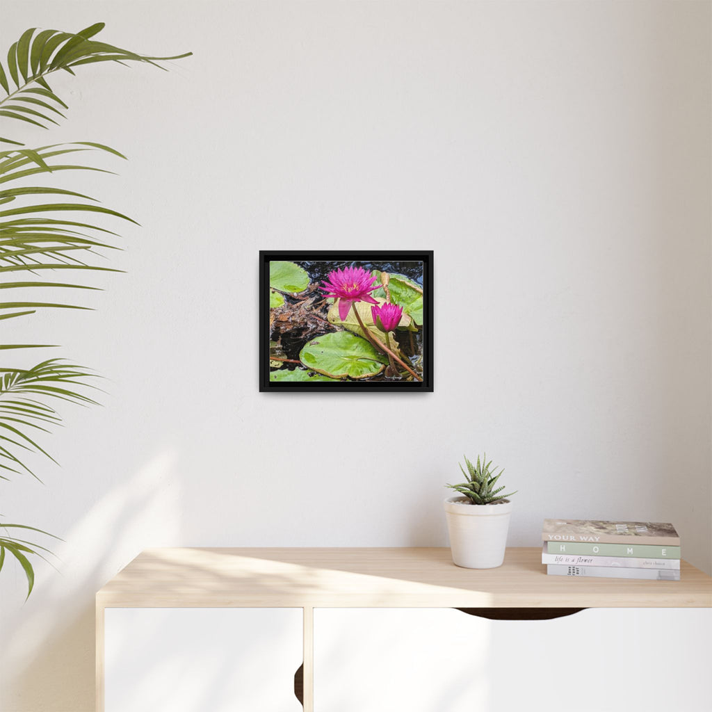 Pink Water Lily Matte Canvas Print (Framed)