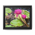 Pink Water Lily Matte Canvas Print (Framed)