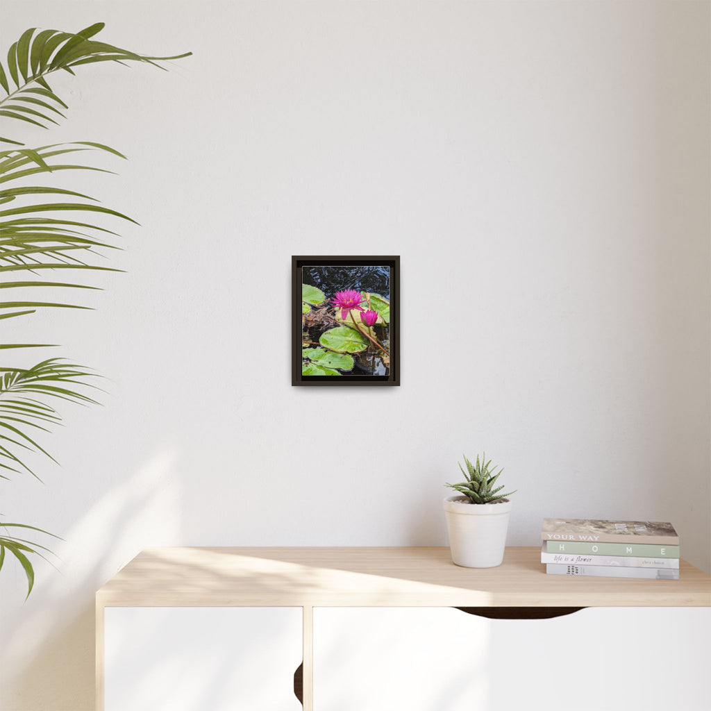 Pink Water Lily Matte Canvas Print (Framed)