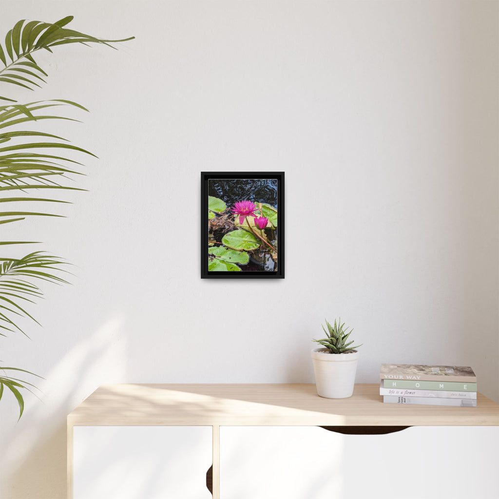 Pink Water Lily Matte Canvas Print (Framed)