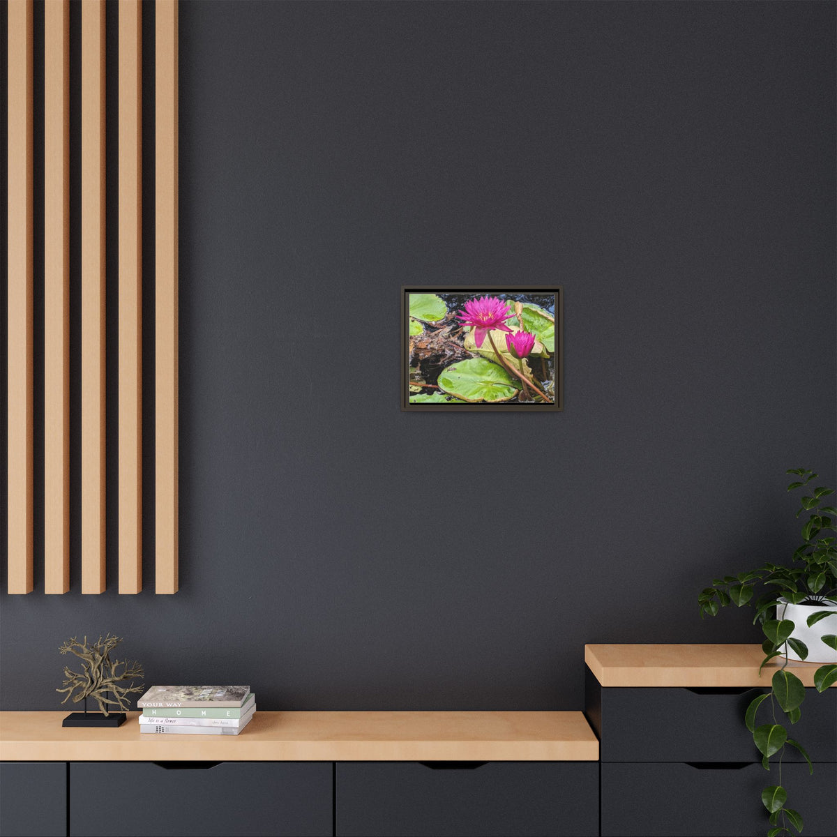 Pink Water Lily Matte Canvas Print (Framed)