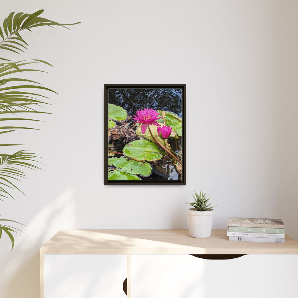 Pink Water Lily Matte Canvas Print (Framed)