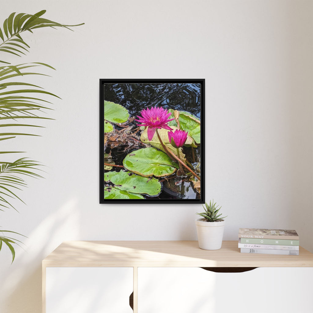 Pink Water Lily Matte Canvas Print (Framed)