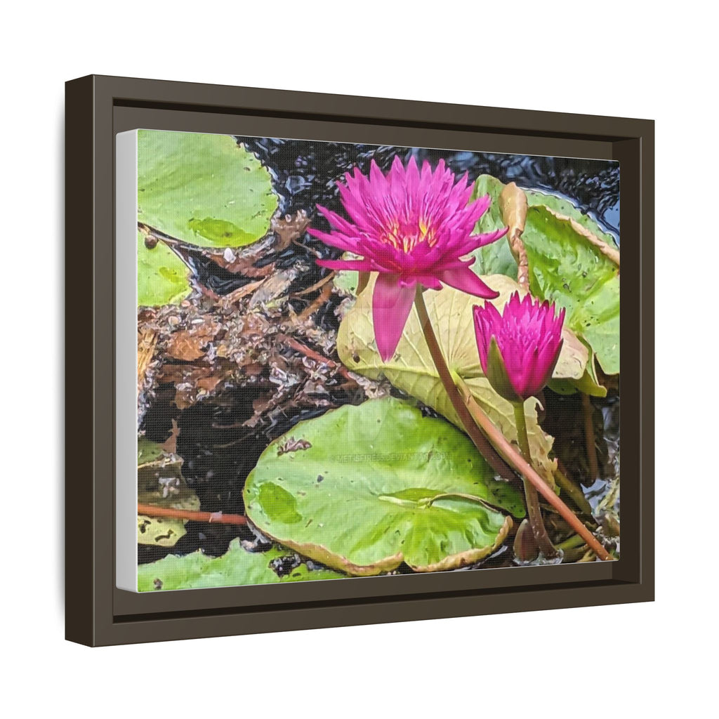 Pink Water Lily Matte Canvas Print (Framed)