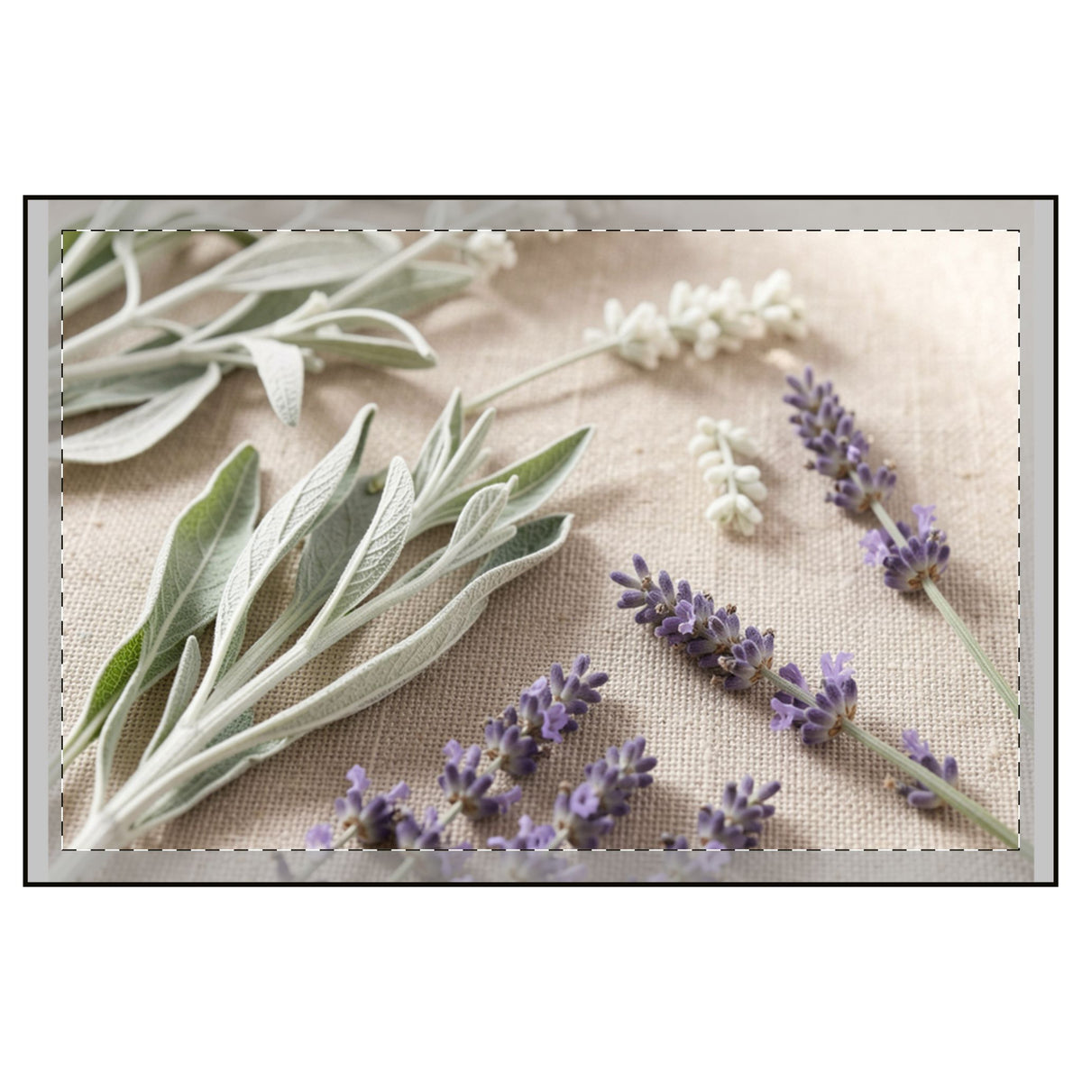 Lavender & Cotton 2-Piece Candle Set — Calming Floral & Fresh Linen Scent