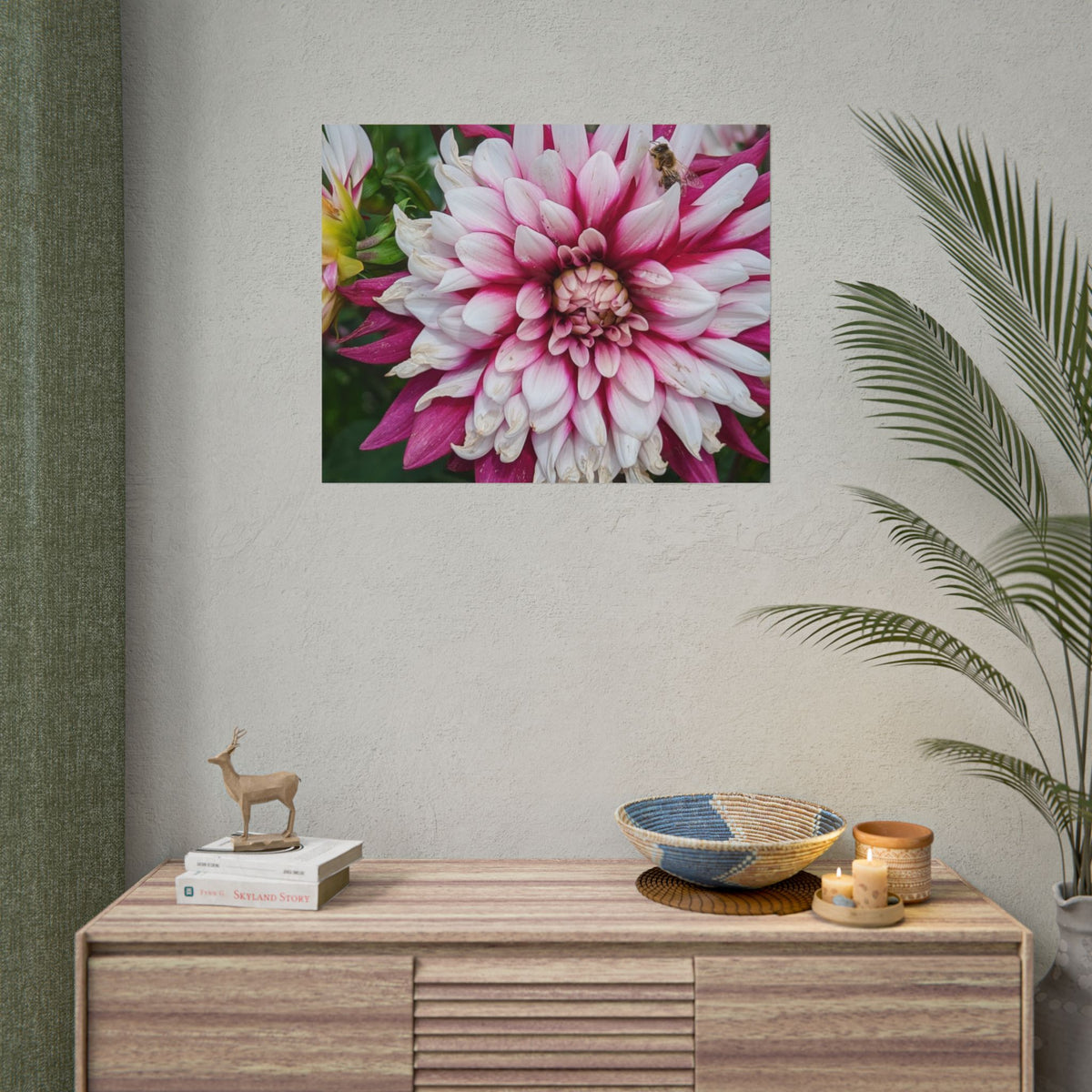 Dahlia Botanical Rolled Poster — Pink & White Floral Wall Art