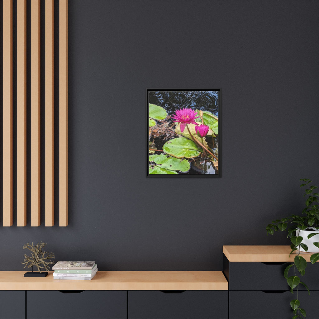 Pink Water Lily Matte Canvas Print (Framed)