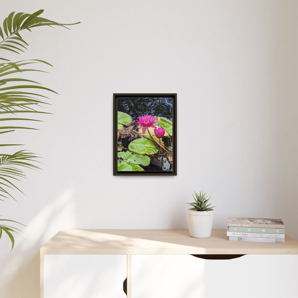 Pink Water Lily Matte Canvas Print (Framed)